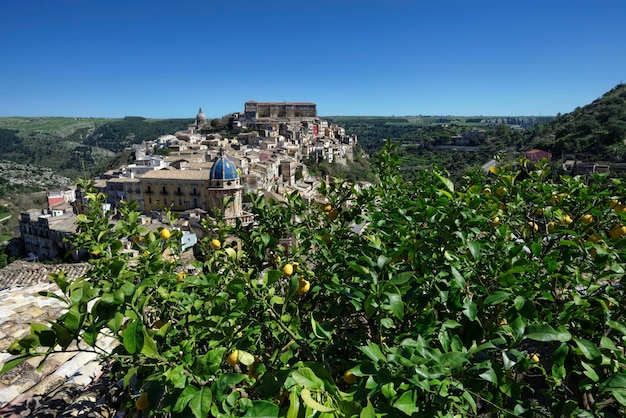 Włochy, Sycylia, Ragusa Ibla, widok na barokowe miasto, barokową dzwonnicę kościoła S. Maria dell'Itria (XVIII w.) i drzewo cytrynowe