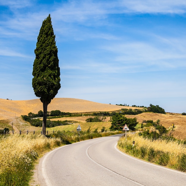 Włochy, Toskania; droga w środku kraju, niedaleko Asciano