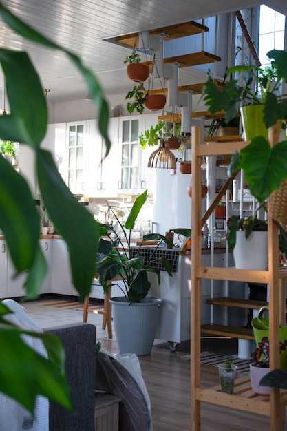 Wnętrze białej kuchni z metalowymi schodami w domku z roślinami w garnkach w wiszących plantacjach Zielony dom w nowoczesnym stylu
