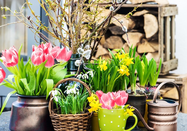Wnętrze Domu Wielkanocna Dekoracja Z Wiosennych Kwiatów. Tulipany, Przebiśniegi I Kwitnie Narcyz