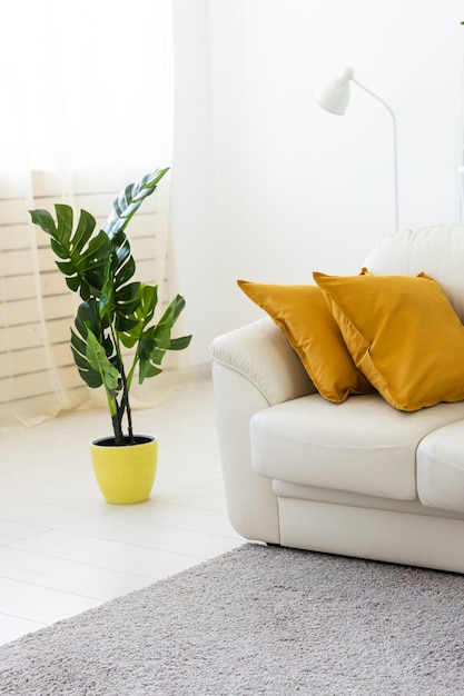 Wnętrze salonu z sofą i poduszkami oraz zieloną sztuczną rośliną