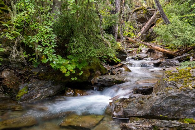 Woda spływająca kaskadami w dół Holland Creek w Montanie