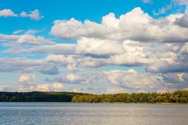 Wodny krajobraz las i rzeka Chmury Cumulus na niebieskim niebie