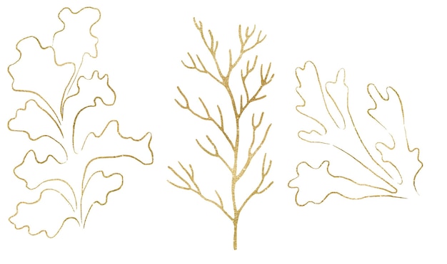 Wodorosty i korale wykonane ze złotych konturów pojedynczych elementów na ślub na plaży Ilustracja clipart