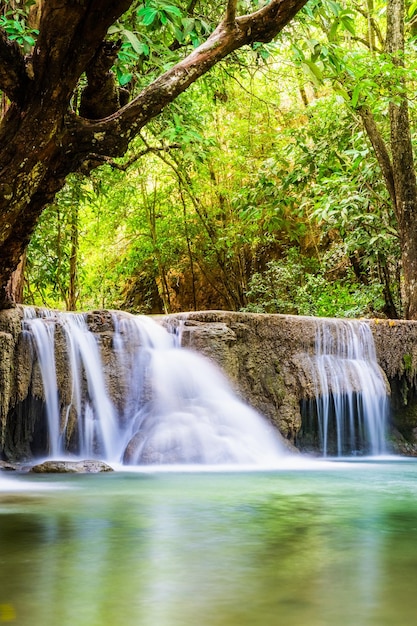 Wodospad głęboki las miękki sceniczny naturalny