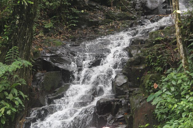 Zdjęcie wodospad ironggolo znajduje się w dzielnicy kediri i płynie nad górskimi skałami.