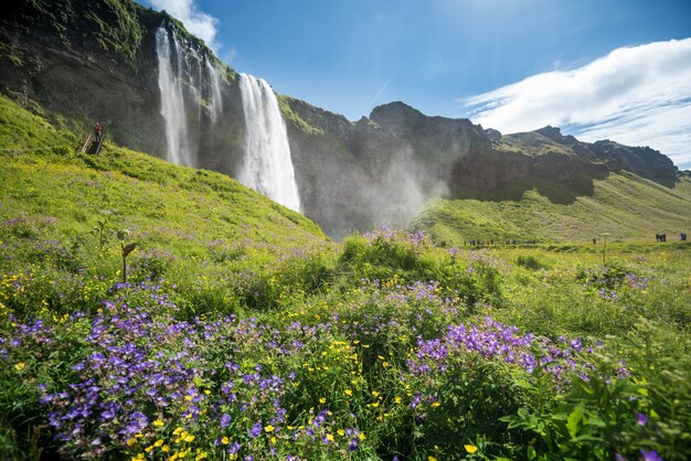 Wodospad Seljalandsfoss Na Islandii W Lecie