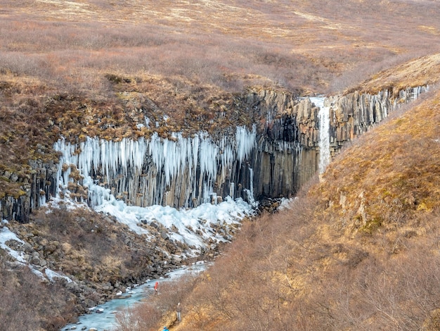 Wodospad Svartifoss Islandia w parku narodowym Vatnajökull w czarnym piasku larwowym woda zamarznięta