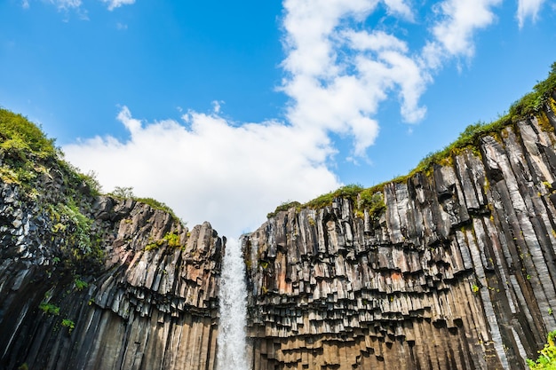 Wodospad Svartifoss w parku narodowym Skaftafell, Południowa Islandia. Letni krajobraz