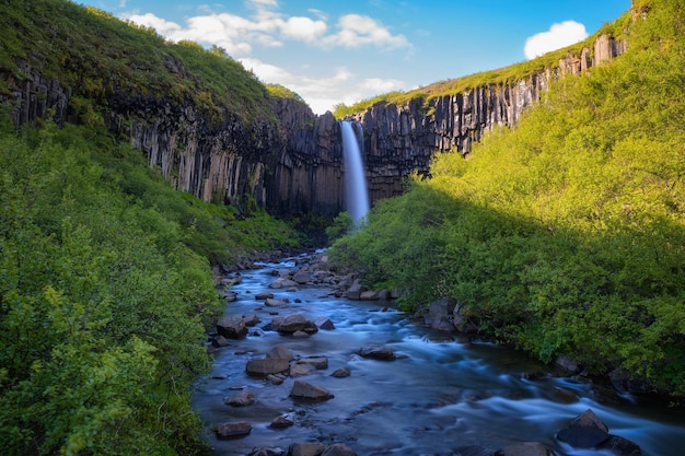 Wodospad Svartifoss W Parku Narodowym Vatnajokull Islandia