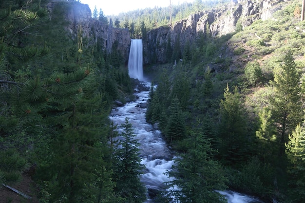 Wodospad Tumalo Deschutes Wilderness