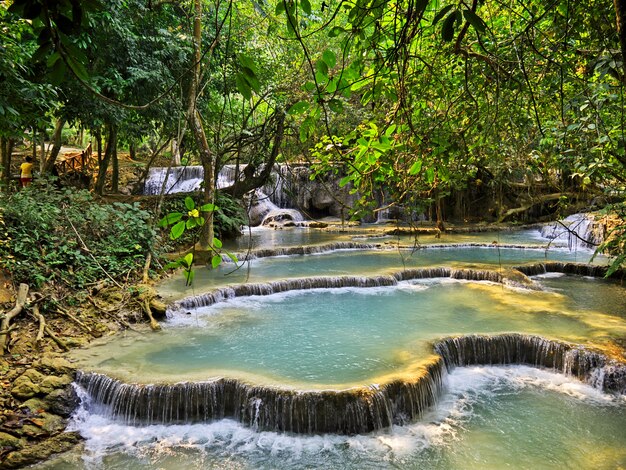 Wodospad W Dżungli, Laos