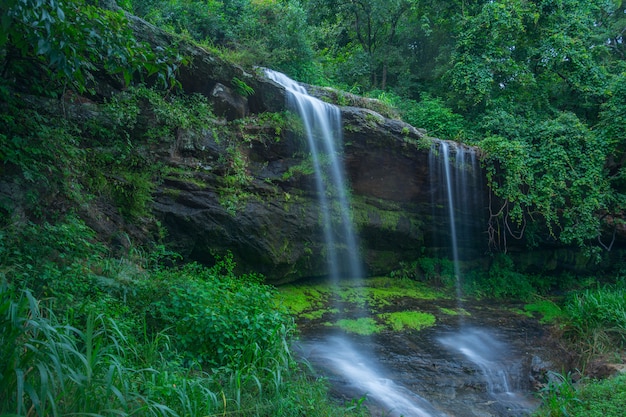 Wodospad W Nuwara-eliya, Sri Lanka