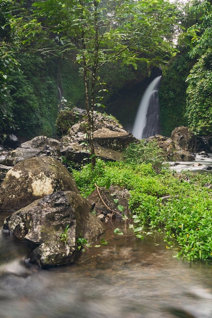 Wodospad w tropikalnym lesie w zimny poranek pora deszczowa w Indonezji