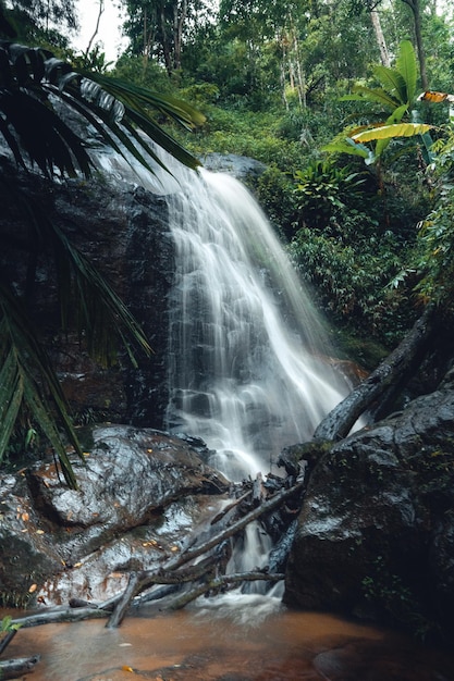 Wodospad w tropikalnym lesiewodospad w dżungli