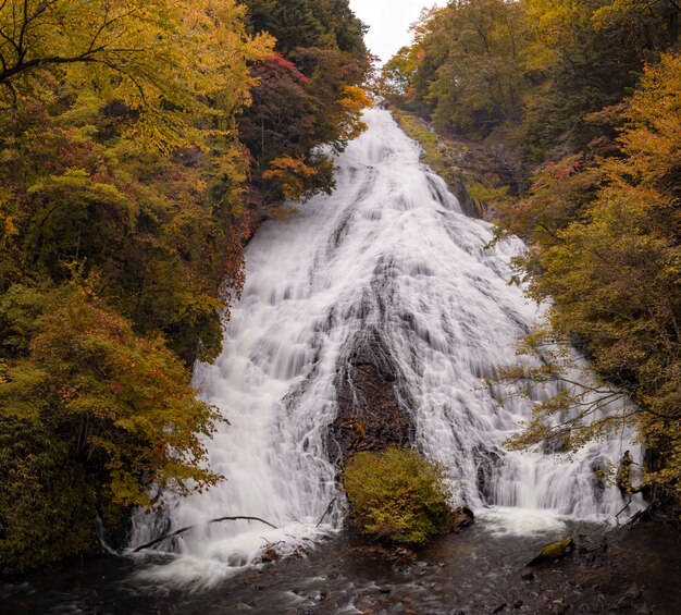 Wodospad Yudaki Jesienny Las Nikko Japonia