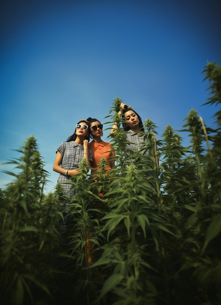 women_sit_upright_in_the_hemp_fields