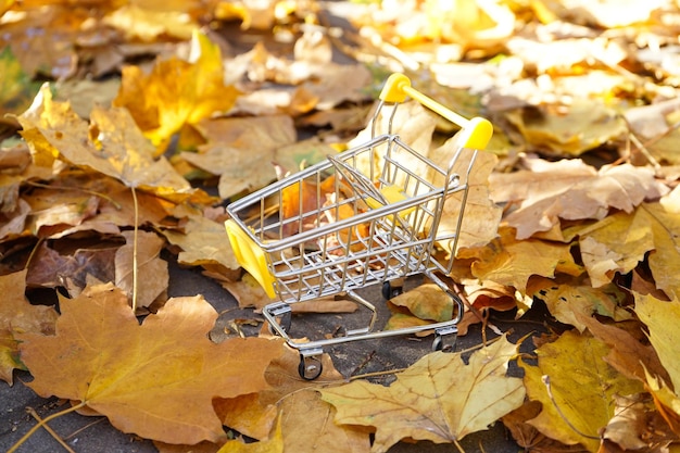 Wózek supermarketu w jesiennych liściach Jesienna sprzedaż