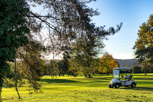 Wózki Golfowe Na Polu Golfowym