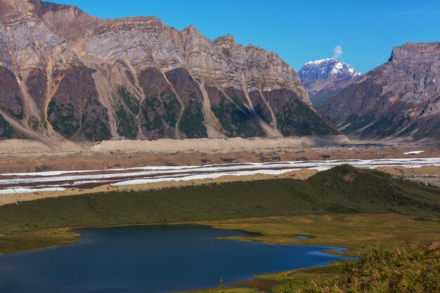 Wrangellstelias Np