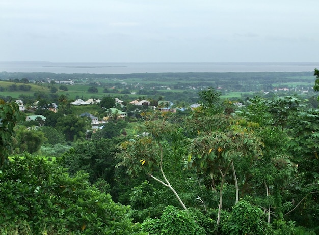 wrażenie Guadeloupe