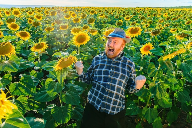 Wrzeszczący zabawny starszy rolnik bawiący się na polu słonecznika cieszy się bogatym zbiorem szczęśliwy robotnik rolniczy tańczący na polu