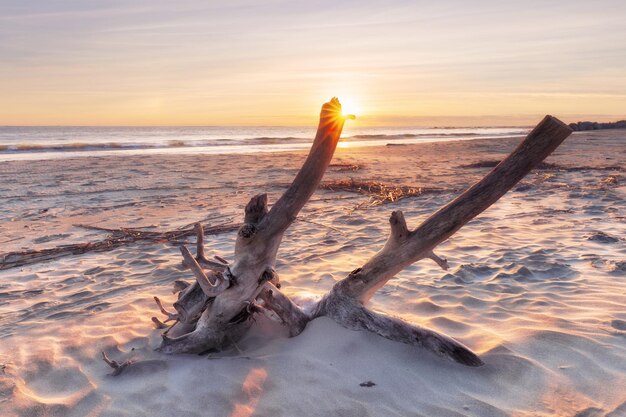 Wschód słońca na plaży szaleństwa?