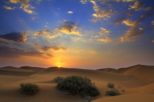Wschód słońca na pustyni