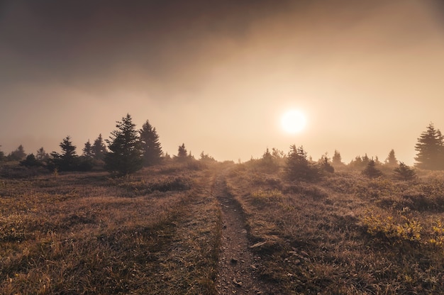 Wschód słońca na złotym polu mglistym w jesiennej dziczy w parku narodowym