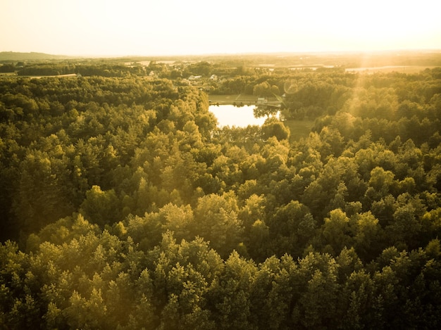 Wschód słońca nad lasem w jesienny widok z lotu ptaka