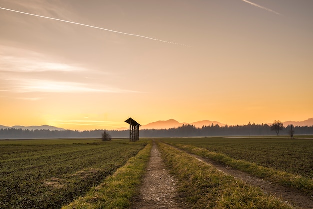 Wschód słońca nad polami uprawnymi