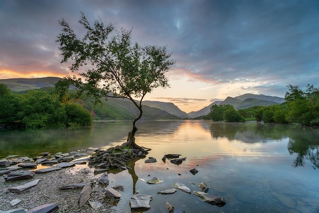 Wschód słońca w Llyn Padarn