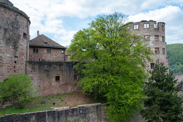 Wschodnia strona zamku Heidelberg popularne miejsce w Baden-Württemberg Niemcy słynne ruiny