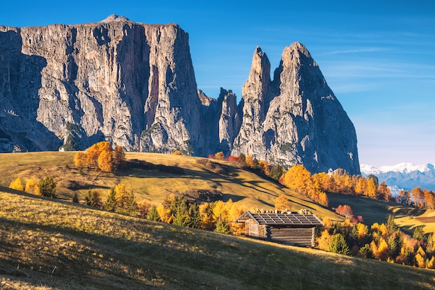 Wspaniała sceneria w Dolomitach. Jesień w Alpe di Siusi. Włochy