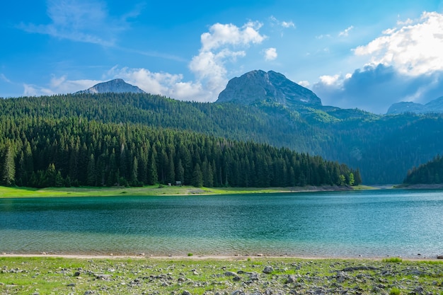 Wspaniałe Czarne Jezioro znajduje się w Parku Narodowym Durmitor na północy Czarnogóry.