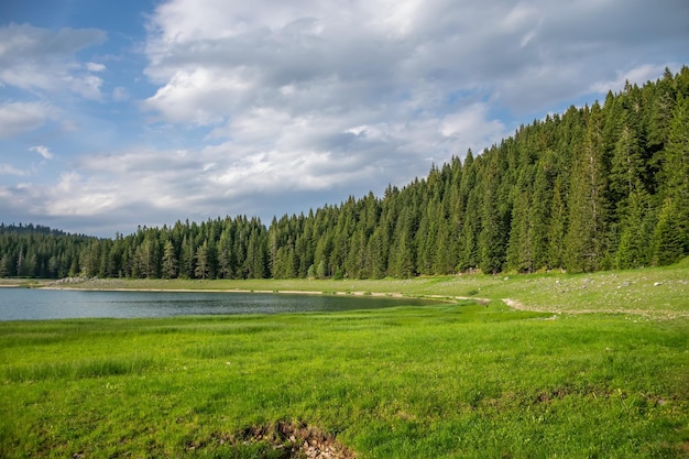 Wspaniałe Czarne Jezioro znajduje się w Parku Narodowym Durmitor na północy Czarnogóry