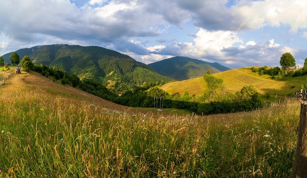 Wspaniałe panoramiczne pole dzikich kwiatów latem Obszar Karpat nad górą Kamyanka Przełęcz Synewyr Ukraina