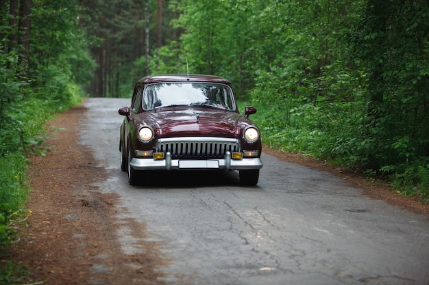Wspaniałe piękno retro samochód Wołga ciemnoczerwony na asfaltowej drodze w lesie liściastym.