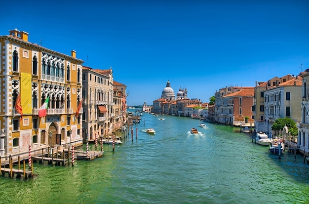 Wspaniały widok na Canal Grande i bazylikę Santa Maria della