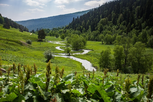 Wspaniały widok na góry Kaukazu i niebo