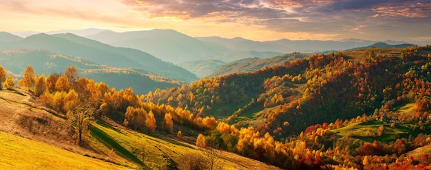 Wspaniały widok na góry, które świecą w słońcu Dramatyczna scena poranka Karpacki Park Narodowy Przełęcz Synewyr Ukraina Europa Artystyczny obraz Świat piękna Efekt ciepłego tonu