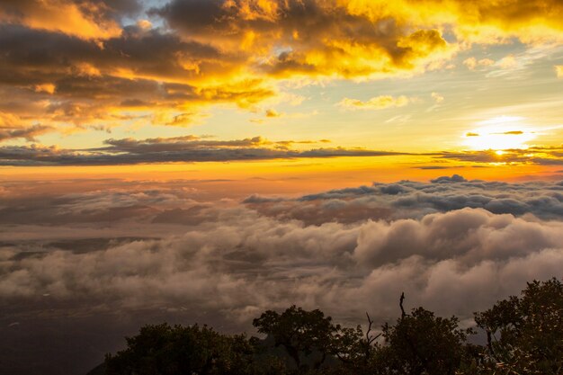 Wspaniały Widok Na Mgłę W Doi Luang Chiang Dao