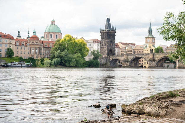 Wspaniały widok na most Karola i historyczne centrum Pragi budynki i zabytki starego miasta