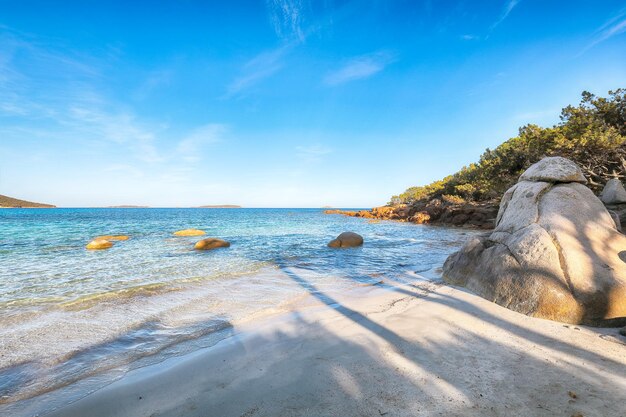 Wspaniały widok na plaże Palombaggia i Tamaricciu