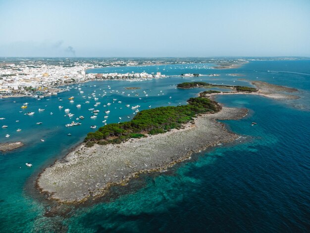 Wspaniały widok na porto cesareo i wyspę królików w puglia