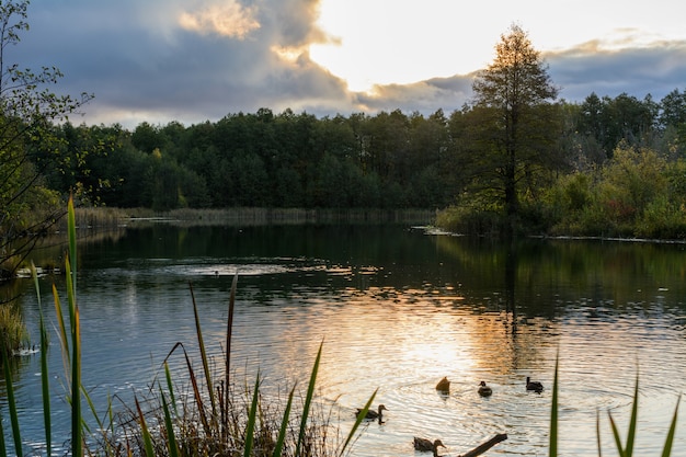 Zdjęcie wspaniały widok na słynne niebieskie jezioro ze wschodem słońca i pomarańczowym niebem pod gęstymi chmurami. kazań, rosja. rano pływają kaczki. jesienny krajobraz.