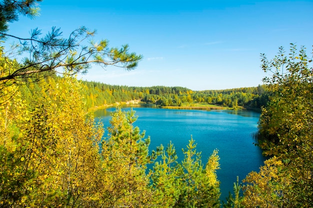 Wspaniały widok na spokojne jezioro i jesienny las w słoneczny dzień. miejsce lokalizacji Lubań, Białoruś, Europa. piękno ziemi. naturalna tapeta.