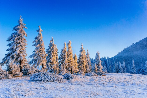 Wspaniały zimowy krajobraz