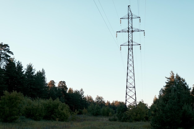 Wsparcie linii energetycznych i linie wysokiego napięcia na terenach wiejskich wśród drzew na tle nieba