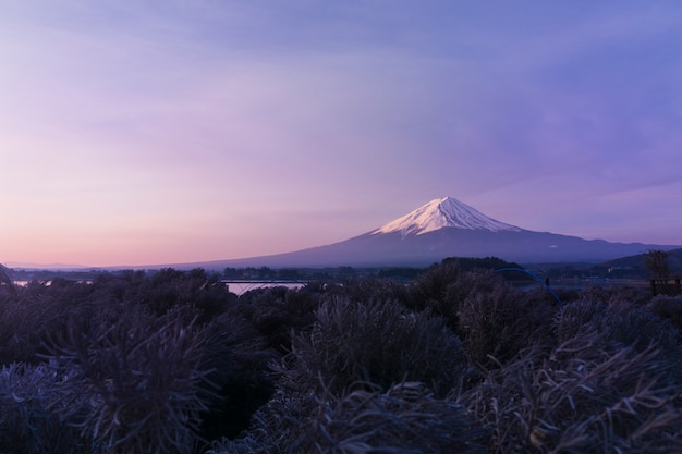 Zdjęcie wspina się fuji san przy jeziornym kawaguchiko w japan, ranku wschód słońca